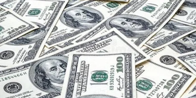 Belajar Usd