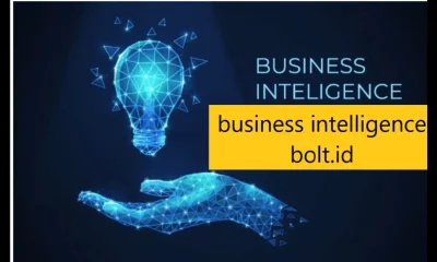 Business Intelligence Bolt.id
