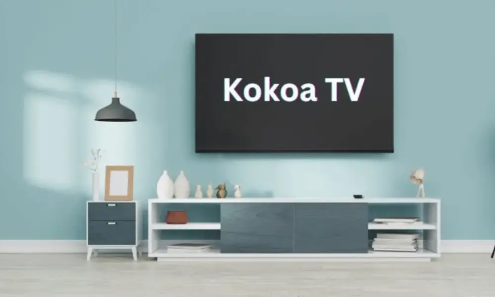 Kokoa TV Experience: A Fusion of Learning and Entertainment